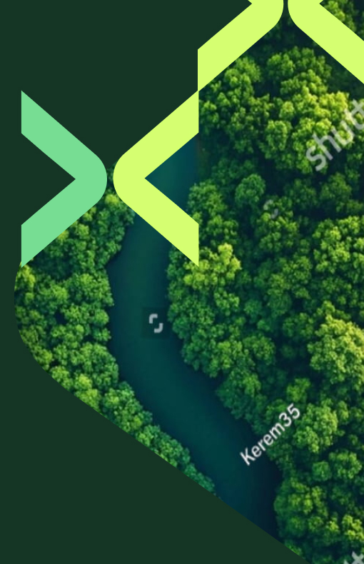 Birdseye view of a river in a forest